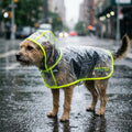 PawTrail™ Silent-Step Silicone Waste Bag Capsule