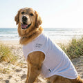PawTrail™ UV-Shield Lightweight Sun & Bug Shirt