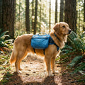 PawTrail™ Tactical MOLLE Expansion Pouch Set (3-Piece)