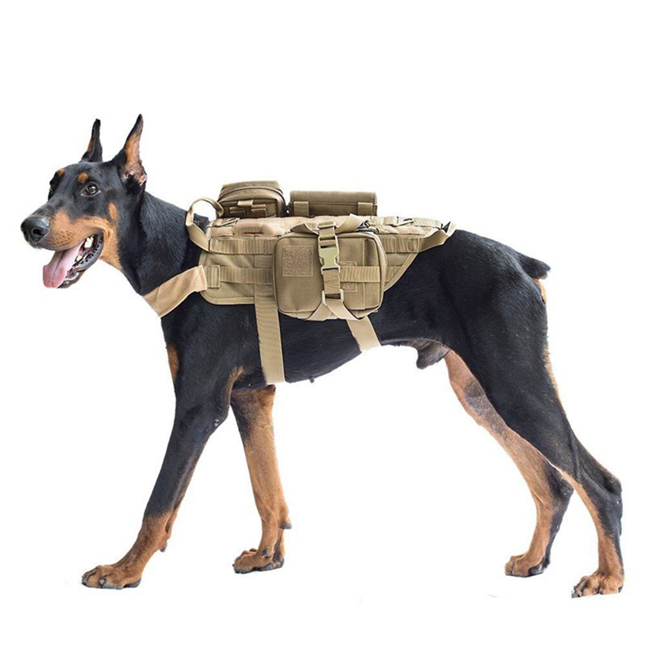 PawTrailT Heavy-Duty Tactical MOLLE Vest - Professional Working Dog Gear